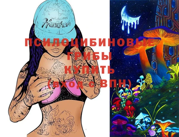 кокс Алзамай