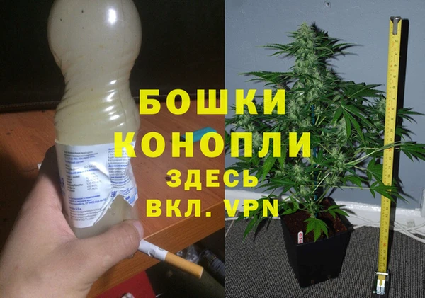 PSILOCYBIN Алексеевка