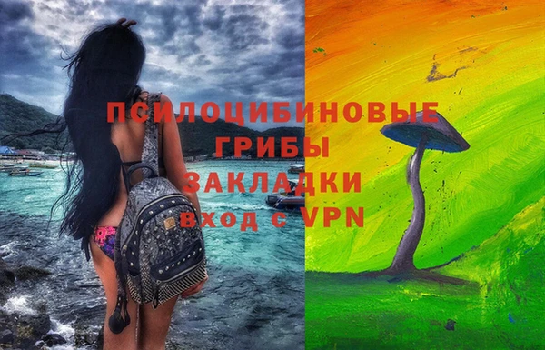 PSILOCYBIN Алексеевка