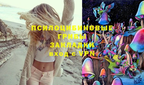 PSILOCYBIN Алексеевка
