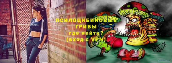 кокс Алзамай