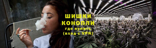PSILOCYBIN Алексеевка