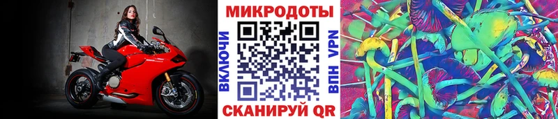 купить наркоту Сясьстрой Псилоцибиновые грибы Psilocybe